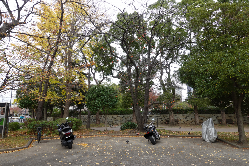 川崎市中原平和公園の駐輪場