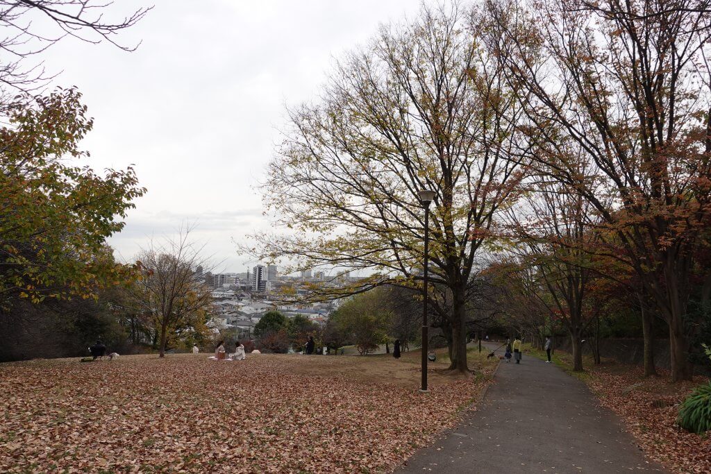 日吉公園